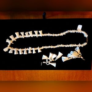 Coral Natural Stone Necklace and Earrings